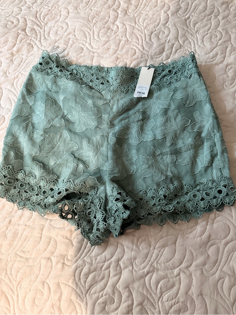 NWT Francesca's green lace shorts with floral embroidery size L